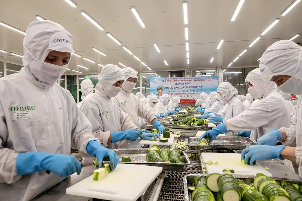 “Giờ lao động vì Trường Sa thân yêu” diễn ra tại Công ty Cổ phần Kinh tế Duyên hải (Cofidec). Ảnh: SATRA “Giờ lao động vì Trường Sa thân yêu” diễn ra tại Công ty Cổ phần Kinh tế Duyên hải (Cofidec). Ảnh: SATRA