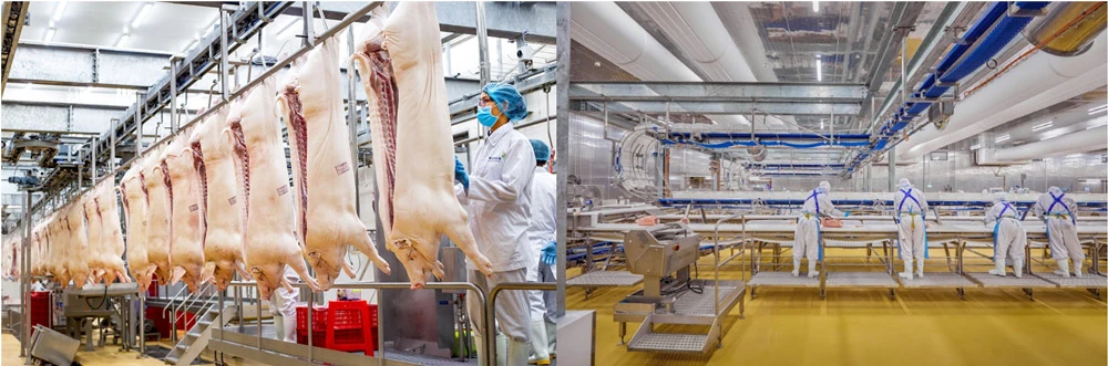 Thịt ủ mát chuẩn Âu của MEATDeli được sản xuất tại tổ hợp nhà máy hiện đại Thịt ủ mát chuẩn Âu của MEATDeli được sản xuất tại tổ hợp nhà máy hiện đại.jpg