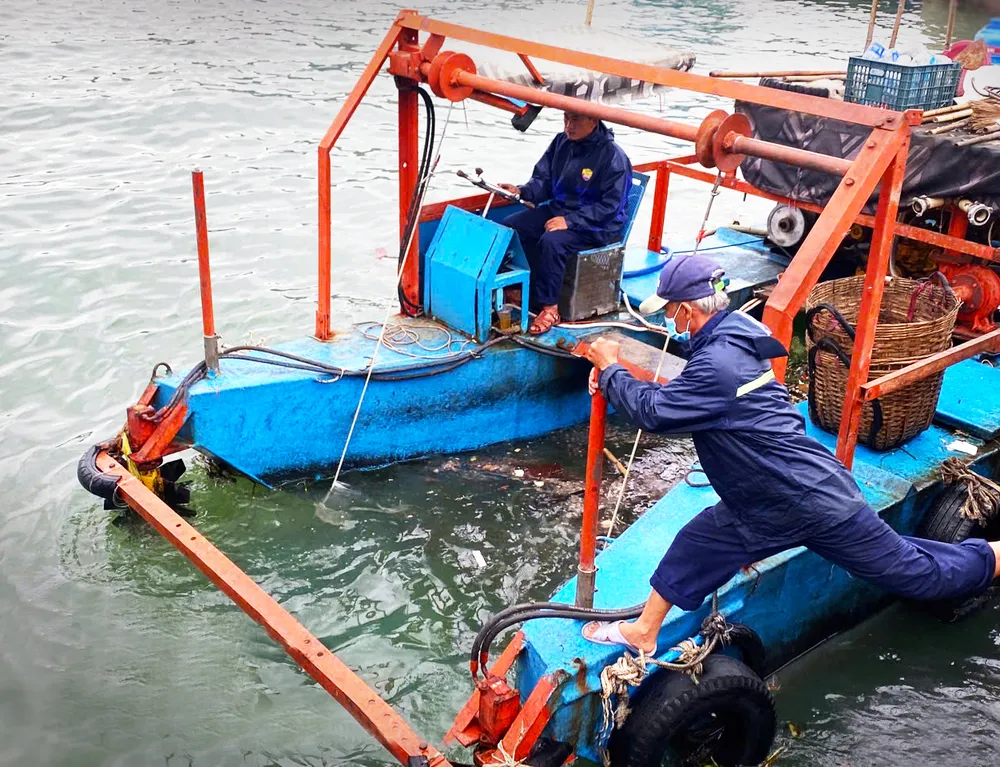 Automatische Müllabsaugmaschinen entlang der Flussmündungen und Schifffahrtskanäle der Fischereihäfen der Provinz Binh Dinh. Foto: NGOC OAI PSA Anh15-Daiduong (41).jpg