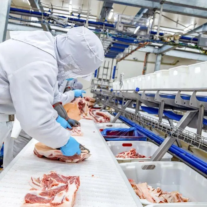 Dây chuyền sản xuất thịt ủ mát chuẩn Âu tại tổ hợp chế biến thịt MEATDeli tại Hà Nam Dây chuyền sản xuất thịt ủ mát chuẩn Âu tại tổ hợp chế biến thịt MEATDeli tại Hà Nam.jpg