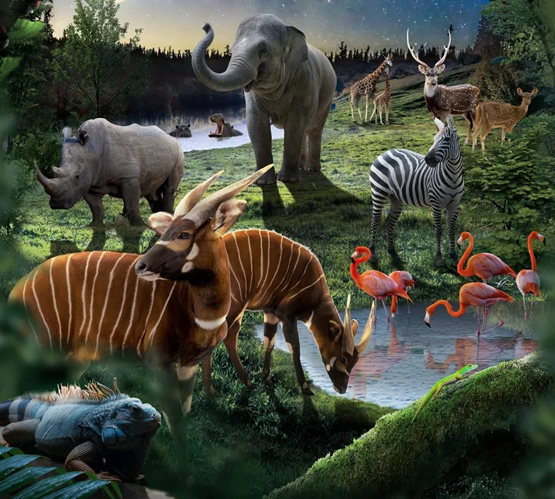 Night Safari – tour khám phá thế giới động vật về đêm. Ảnh: VinWonders 4.jpg