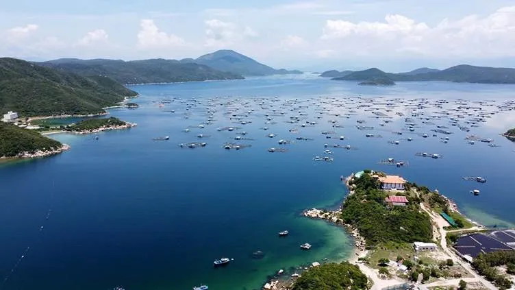 Khánh Hòa hướng tới đô thị biển đáng sống hàng đầu châu Á, cực tăng trưởng mới của Việt Nam 1759751178294-4541.jpeg