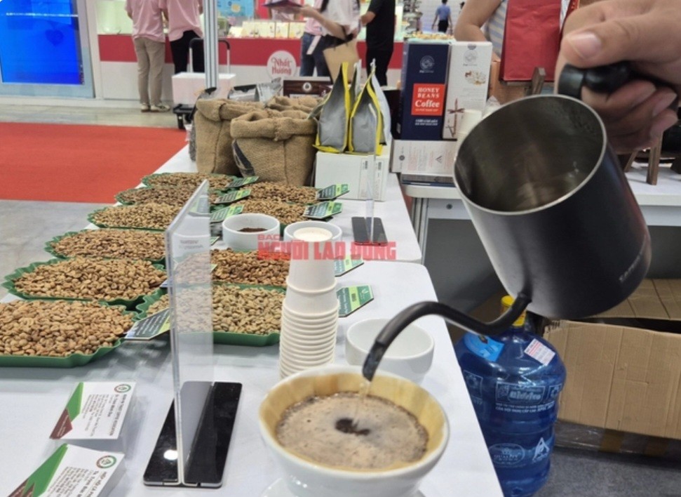 咖啡价格每日波动