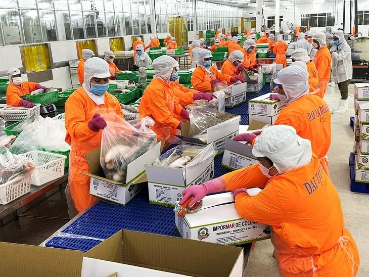 今年前七个月，越南水产品出口预计达62亿美元，同比增长17%。