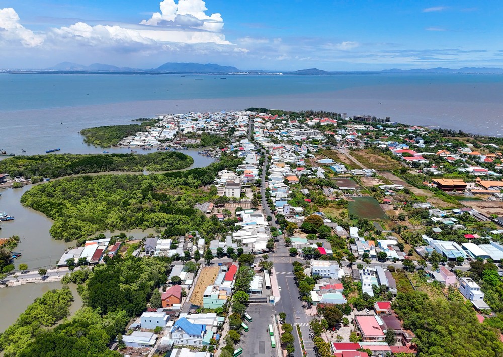 芹耶是本市规划中拟设立自由贸易区的四个地方置之一。