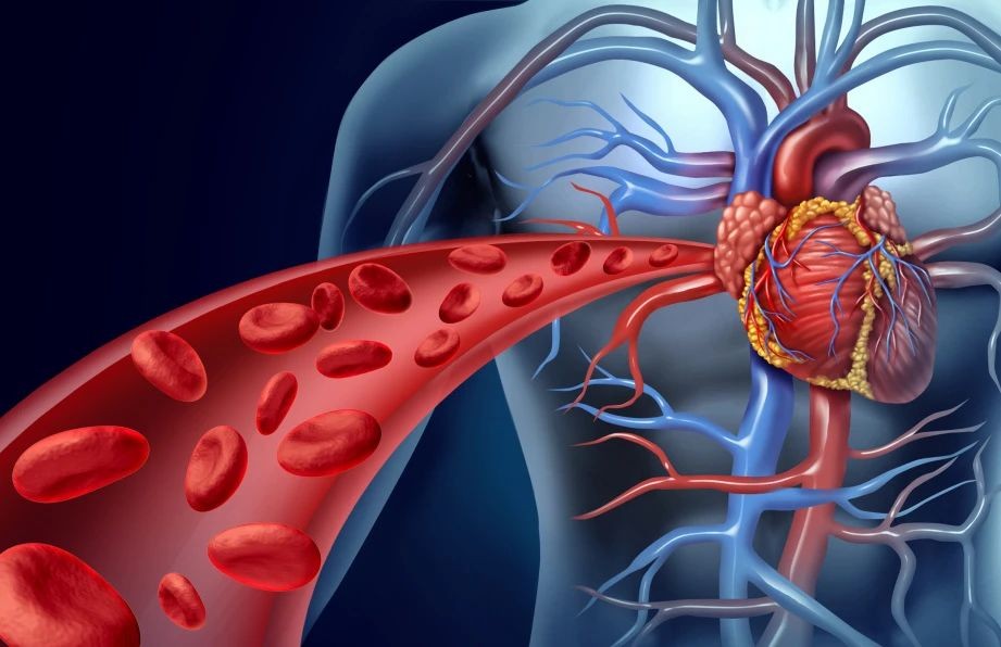 高温高湿增加心脏负荷。
