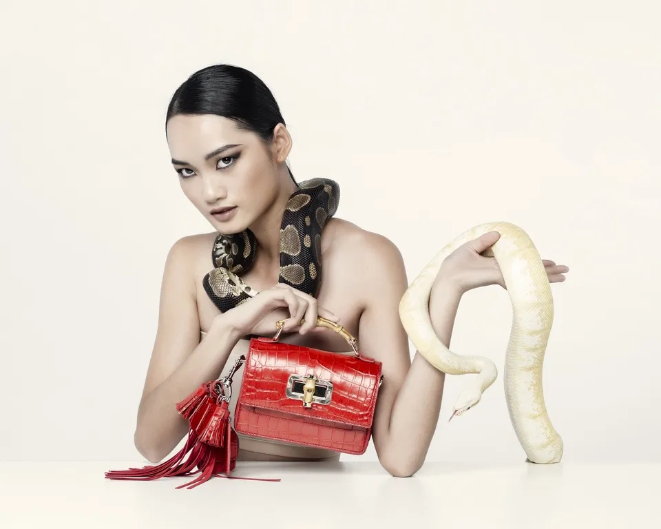 Ngắm bộ ảnh ấn tượng top 10 The Face Vietnam 2018 chụp cùng bò sát ảnh 1