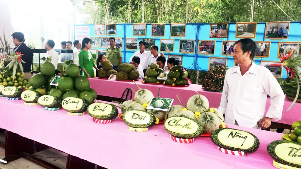 Hậu Giang: Xây dựng nông thôn mới nâng cao giúp người dân tăng 1-2 lần thu nhập ảnh 1 Hậu Giang: Xây dựng nông thôn mới nâng cao giúp người dân tăng 1-2 lần thu nhập ảnh 1