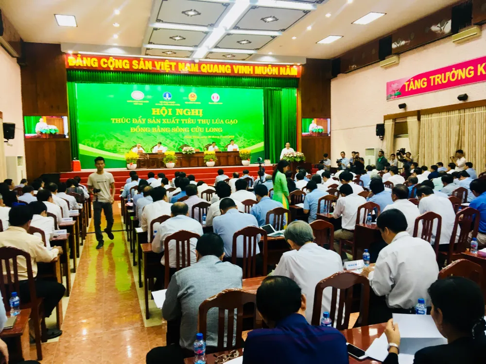ĐBSCL tìm giải pháp tiêu thụ lúa hàng hóa cho nông dân ảnh 1 ĐBSCL tìm giải pháp tiêu thụ lúa hàng hóa cho nông dân ảnh 1