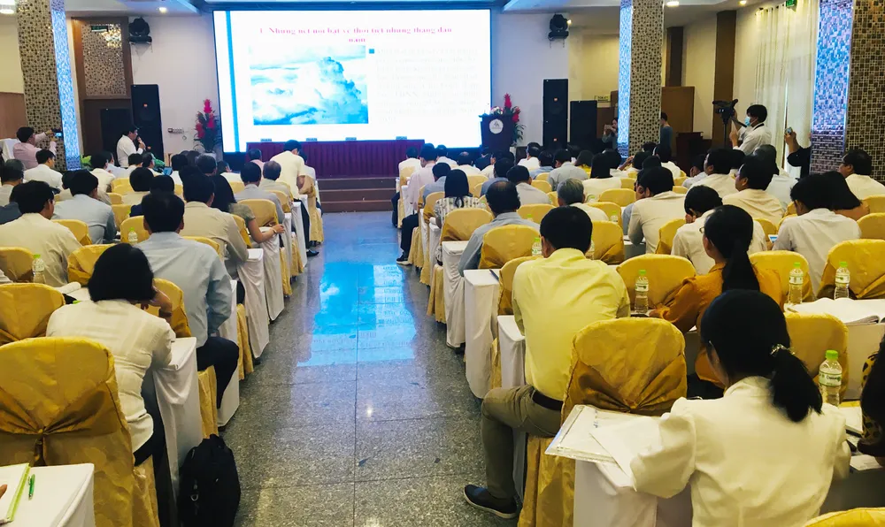 Giảm diện tích sản xuất lúa, nông dân ĐBSCL vẫn có lợi  ảnh 1