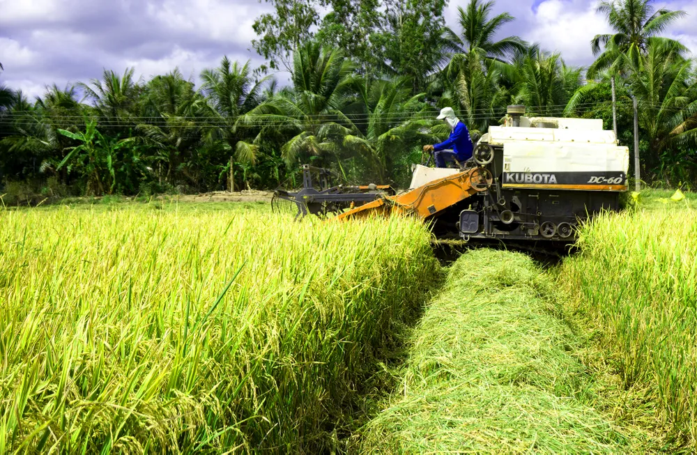 Giúp nông dân trồng lúa tích hợp các giải pháp giảm thất thoát sau thu hoạch ảnh 2 Giúp nông dân trồng lúa tích hợp các giải pháp giảm thất thoát sau thu hoạch ảnh 2