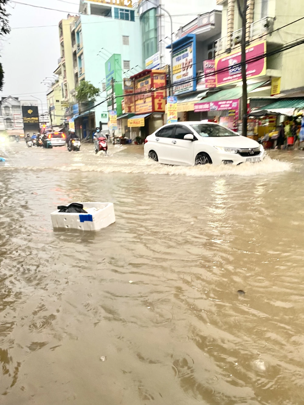 Vùng hạ lưu miền Tây vào đợt triều cường lớn nhất trong năm ảnh 1 Vùng hạ lưu miền Tây vào đợt triều cường lớn nhất trong năm ảnh 1