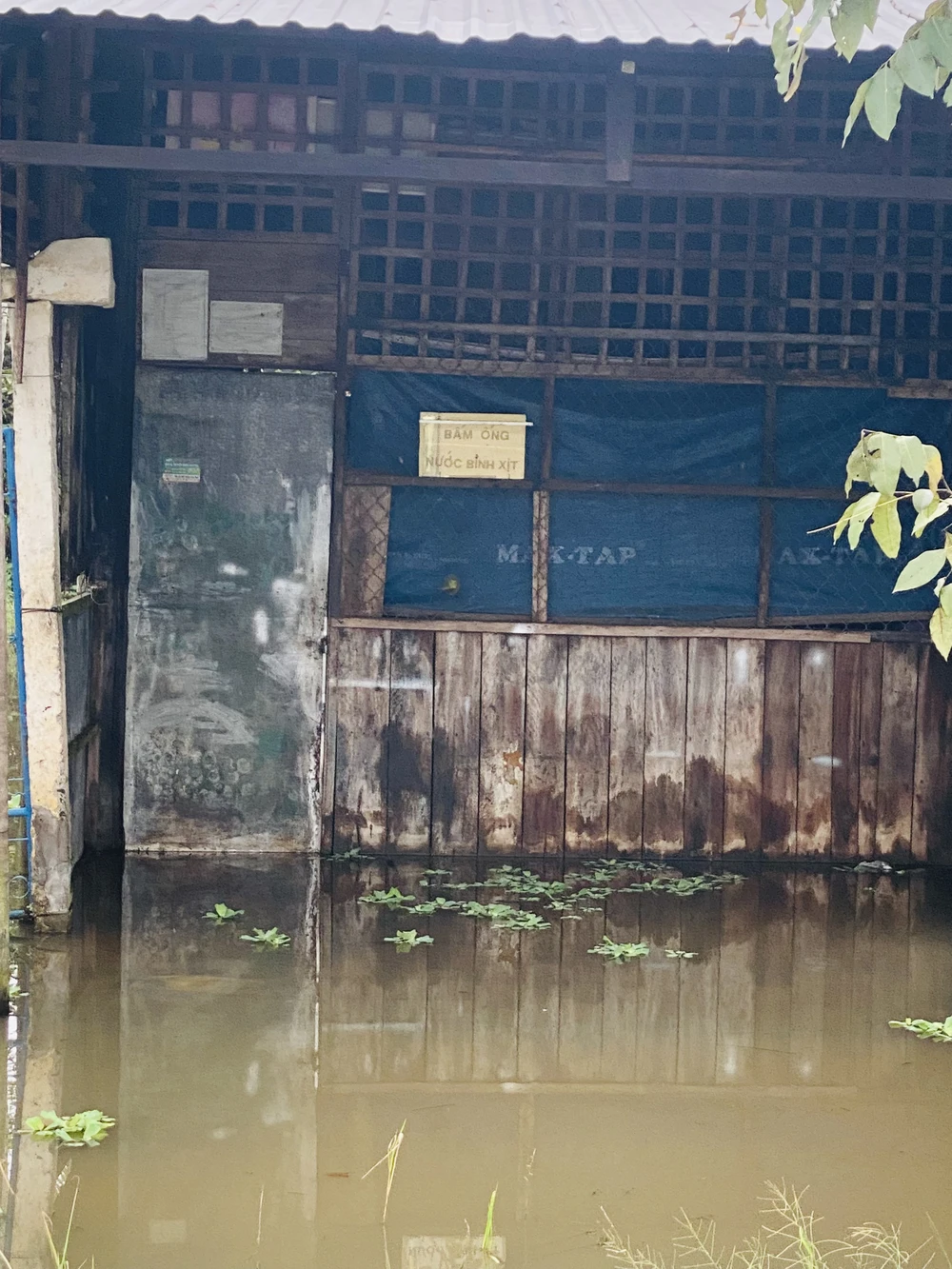 Triều cường gây ngập nặng vùng hạ lưu Hậu Giang ảnh 3 Triều cường gây ngập nặng vùng hạ lưu Hậu Giang ảnh 3