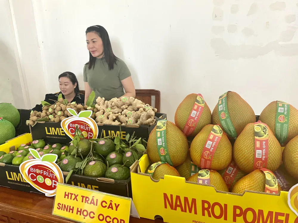 HTX Trái cây sinh học OCOP là một trong những HTX của tỉnh Hậu Giang xuất khẩu trái cây sang thị trường EU