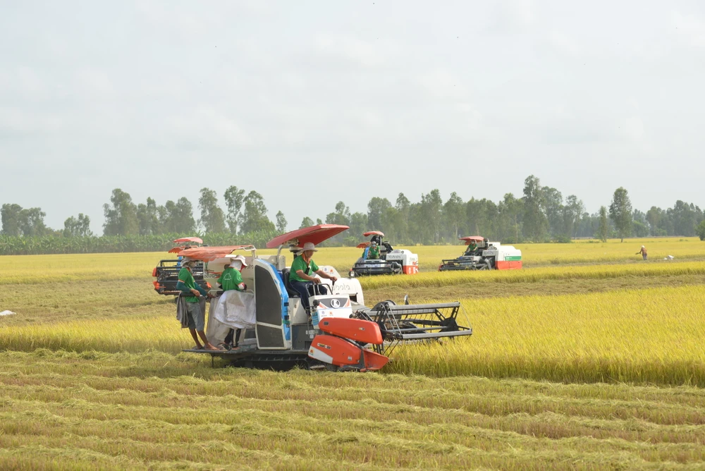 Cần hình thành vững chắc mối liên kết giữa nông dân và doanh nghiệp để đảm bảo đầu ra