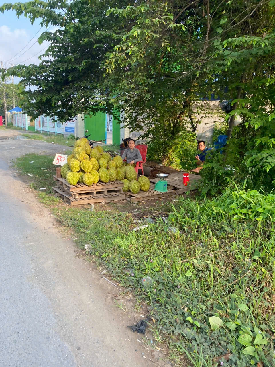 Nhà vườn phải tự mình ra ven đường bán sầu riêng 1.jpg