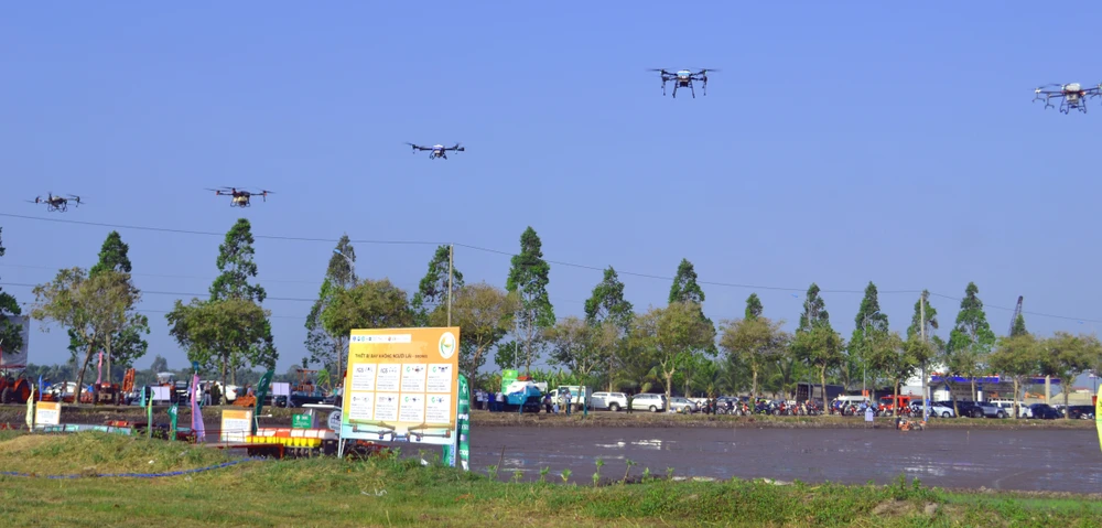 Các drone bay gieo sạ lúa trong mô hình canh tác lúa thông minh tại Hậu Giang Các drone bay gieo sạ lúa trong mô hình canh tác lúa thông minh tại Hậu Giang