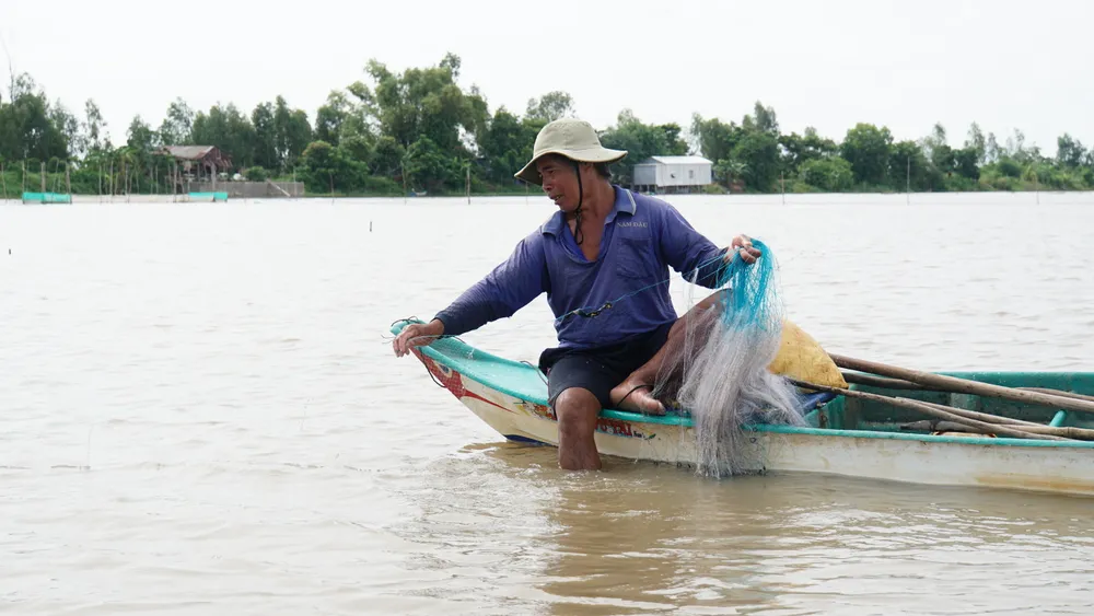 Nông dân miền Tây hy vọng sẽ có mùa nước nổi để mưu sinh bằng đánh bắt thủy sản 4- Người dân huyện Tam Nông - Đồng Tháp bắt đầu giăng lưới đánh bắt cá mùa nước nổi.JPG