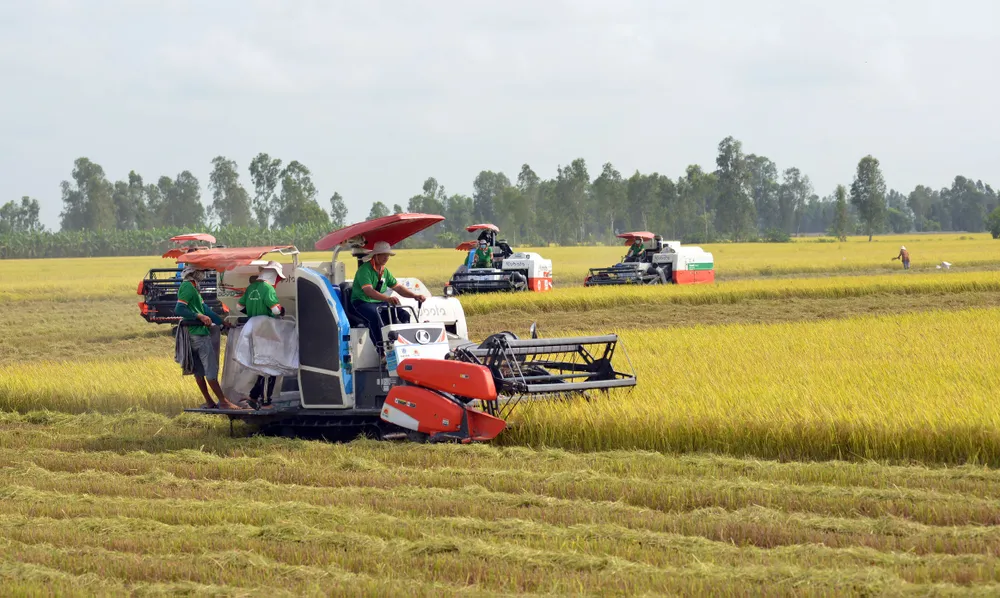 Cơ giới hóa được xem là khâu đột phá trong thực hiện 1 triệu hec-ta lúa chất lượng cao 8-.jpg