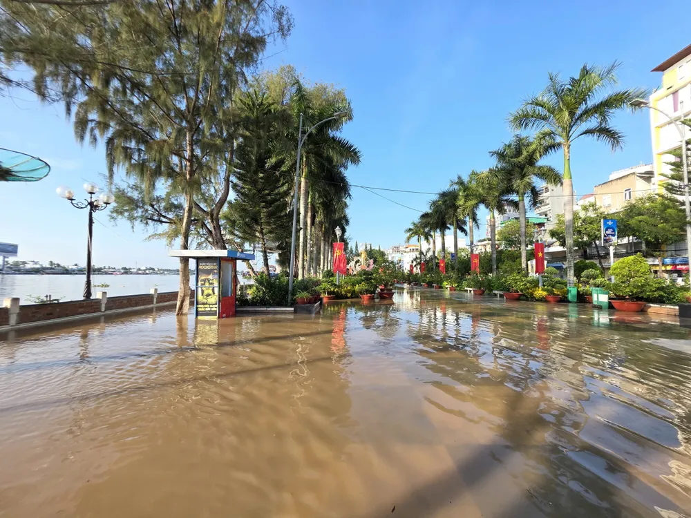 Nước tràn lên bến Ninh Kiều sáng 9-11 z6998915765838_6f6fa0ba54d2470fd2aef03171f33c36.jpg