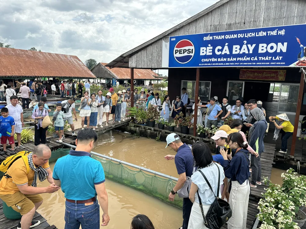 1- Khách du lịch tham quan bè cá Bảy Bon tại du lịch Cồn Sơn.jpg