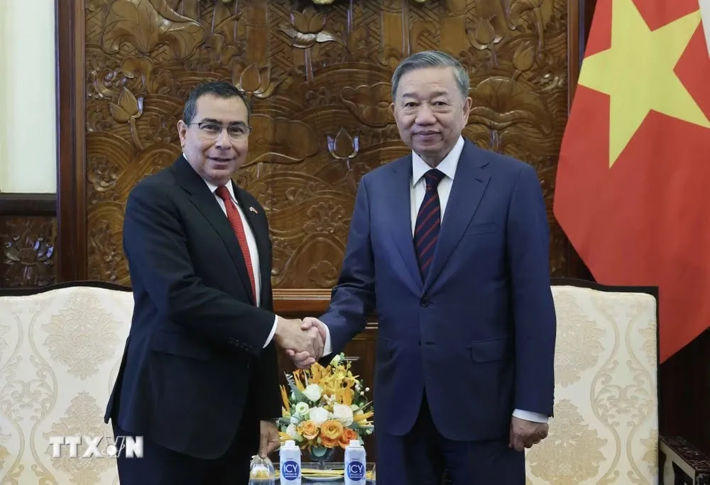 Chủ tịch nước Tô Lâm tiếp Đại sứ Panama Eligio Salas III. Ảnh: TTXVN ttxvn-2806chutichnuoc4-2791.jpg.jpeg