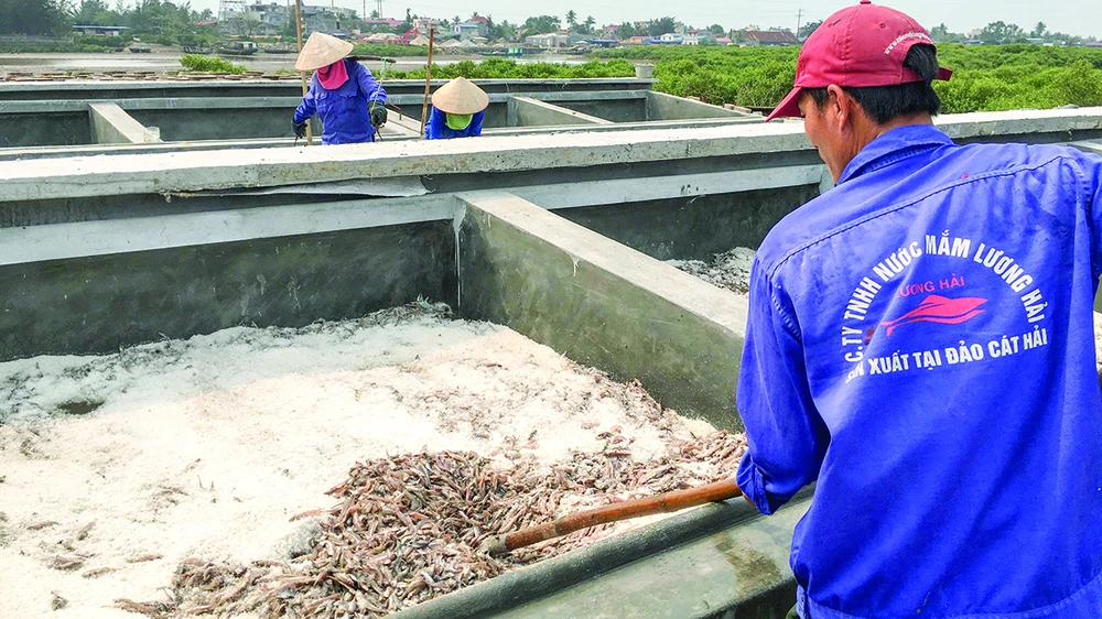 Tìm giải pháp tăng xuất khẩu nước mắm Việt ảnh 1 Tìm giải pháp tăng xuất khẩu nước mắm Việt ảnh 1
