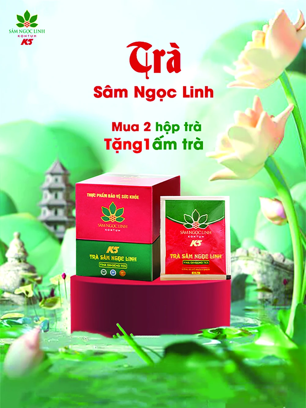 Món quà sức khỏe tặng mẹ cha: Mùa trung thu thêm vẹn tròn chữ hiếu ảnh 2 Món quà sức khỏe tặng mẹ cha: Mùa trung thu thêm vẹn tròn chữ hiếu ảnh 2