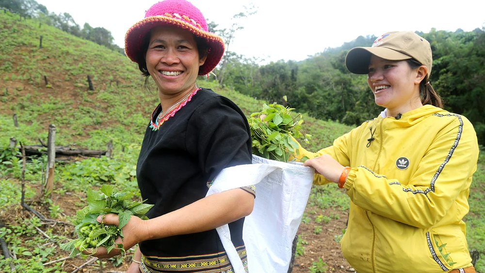 Vươn mình: Dự án hợp tác phát triển sinh kế nông hộ của Cargill và CARE International 