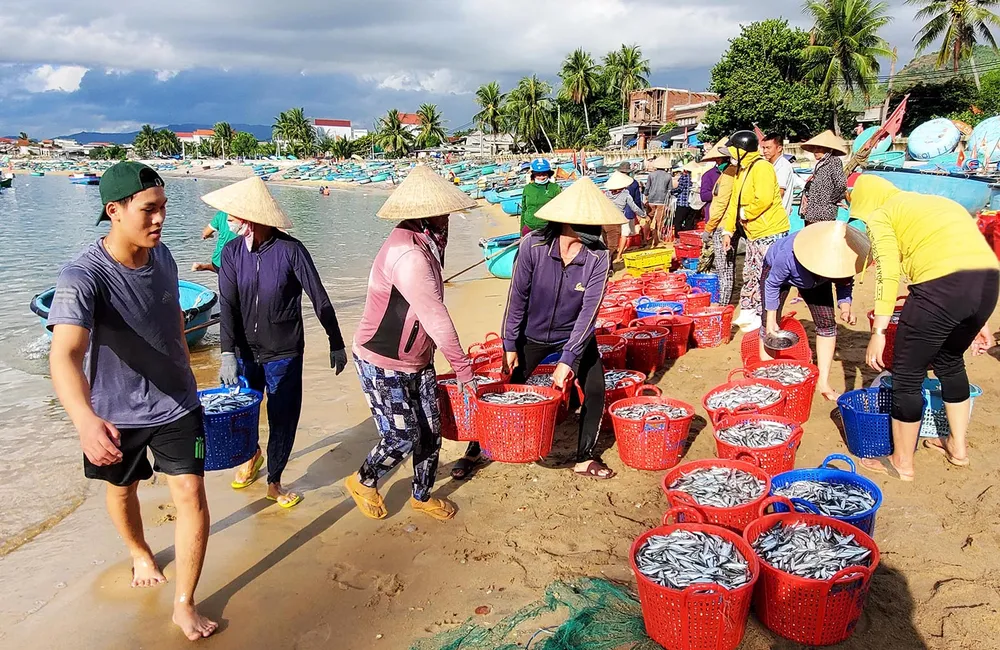 Ngư dân thúng chai ảnh 2