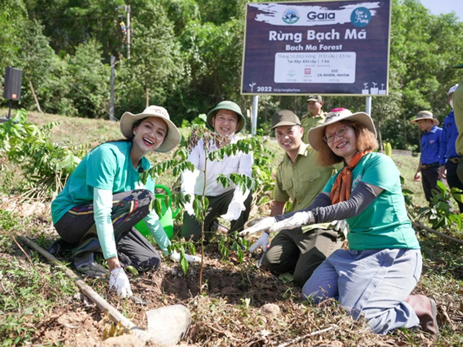 Hoang sơ Bạch Mã ảnh 6 Hoang sơ Bạch Mã ảnh 6