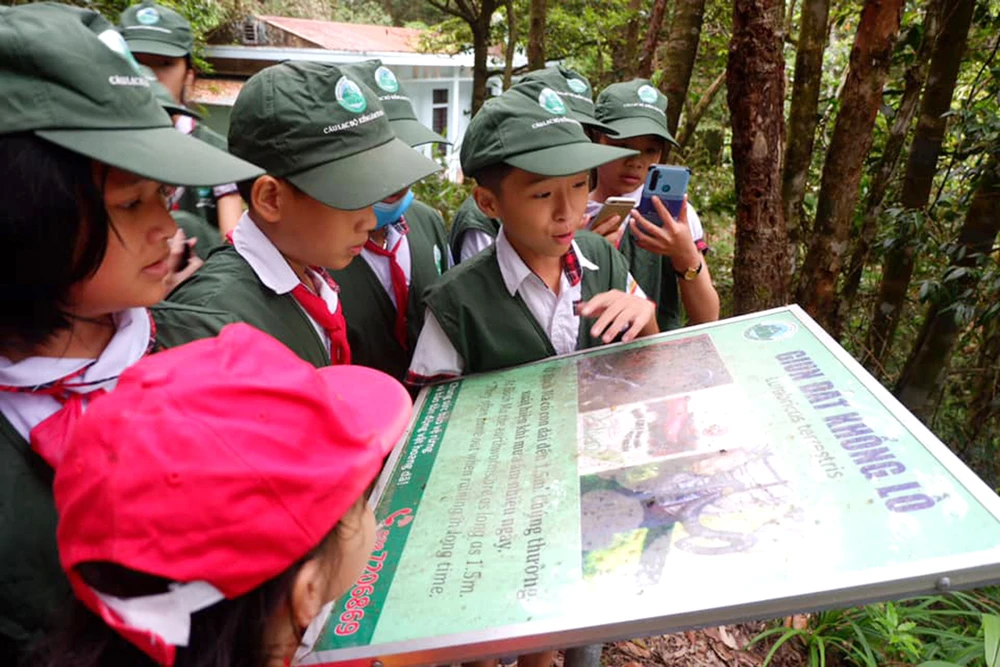 Hoang sơ Bạch Mã ảnh 5 Hoang sơ Bạch Mã ảnh 5