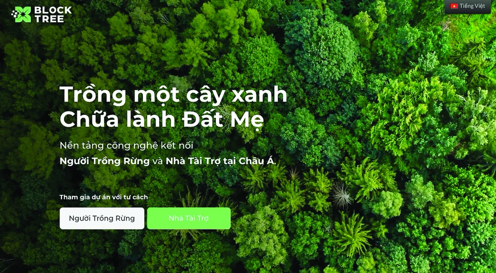 Giao diện BlockTree từ trang web blocktree.asia