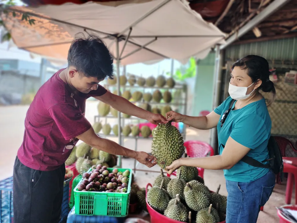 Người dân TP Long Khánh bán sầu riêng cho khách thăm quan miệt vườn vào dịp Lễ hội trái cây Long Khánh năm 2023