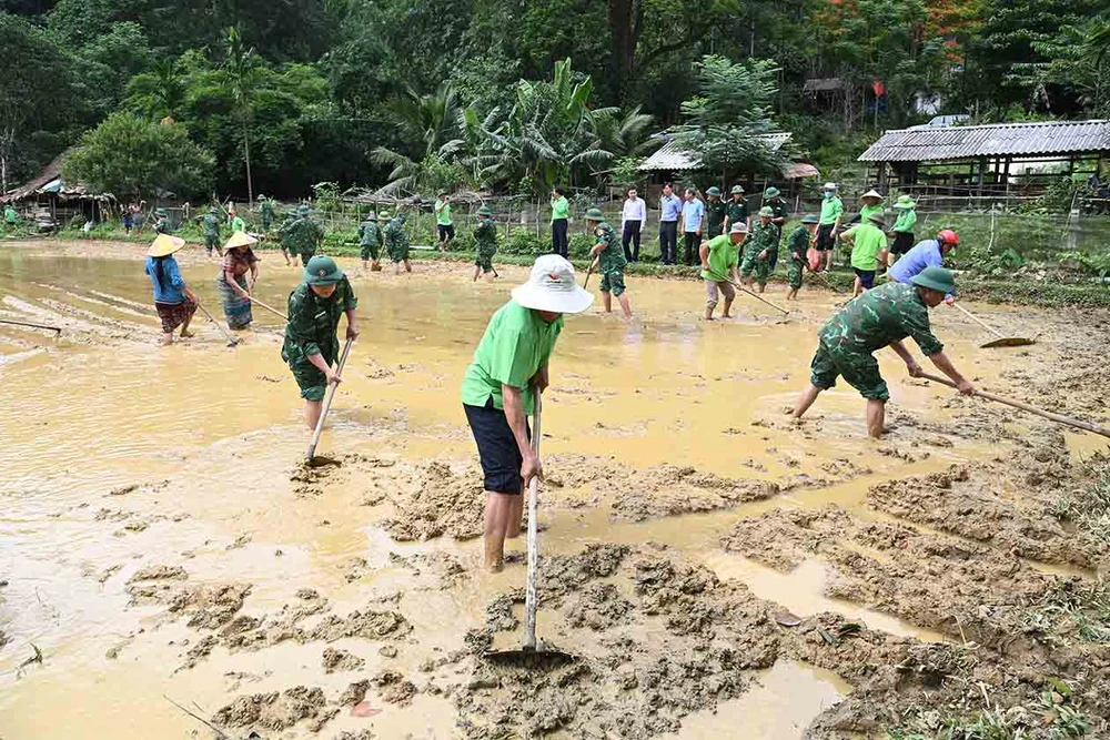 Giúp bà con sản xuất vụ hè thu