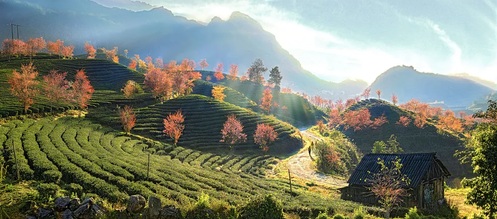 AÌnh duÌÌ£ thi chuÌ ÄeÌÌ 4 - PhaÌt trieÌÌn xanh.JPEG