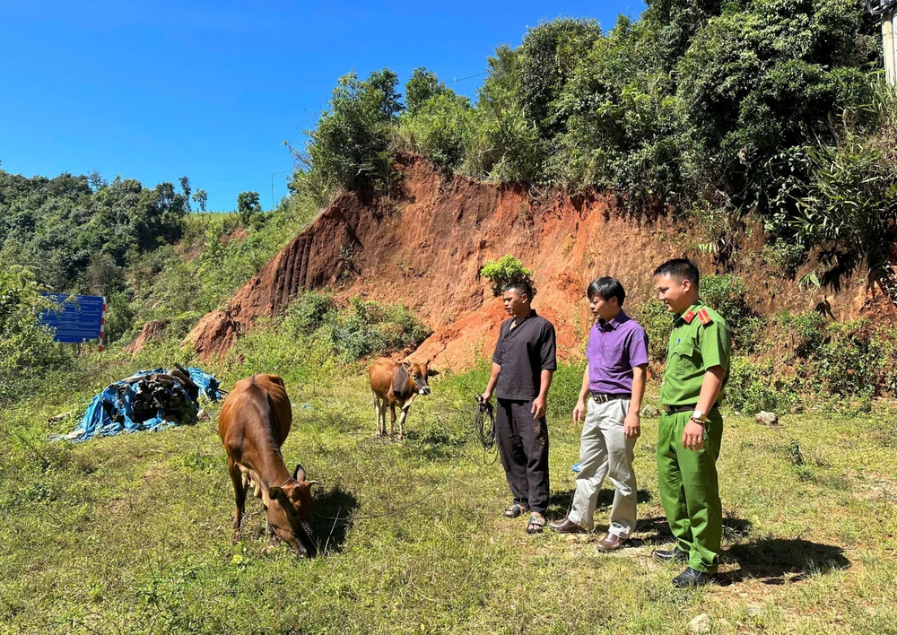 Đảng ủy và Công an xã Đăk Hà, huyện Tu Mơ Rông, tỉnh Kon Tum thăm, động viên anh Vi Văn Cảnh nuôi bò, nâng cao thu nhập 