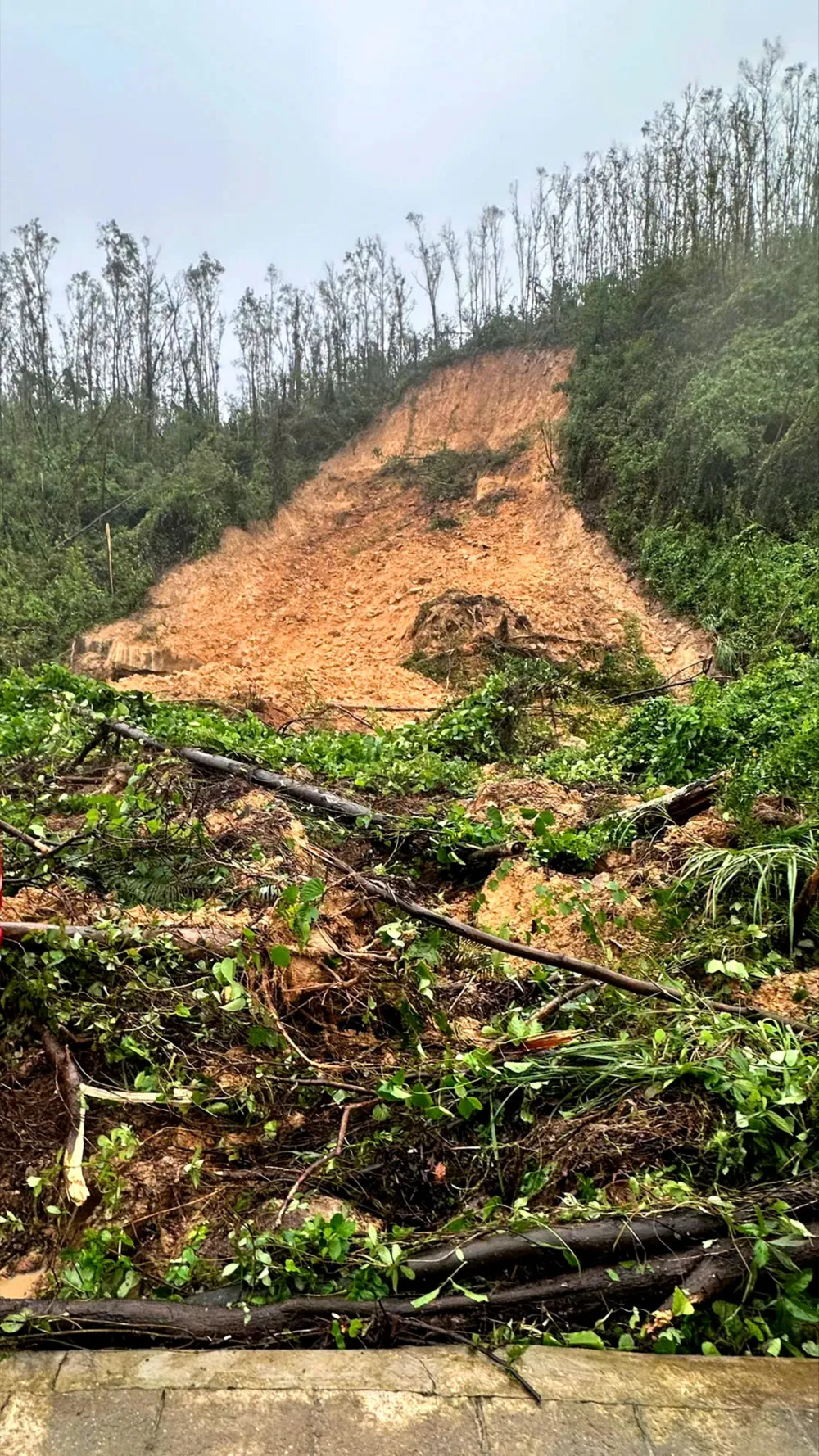 Jordskredscen aaa.jpg