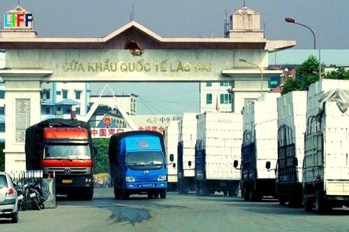 越中经济关系近年来实现了前所未有的强劲增长。