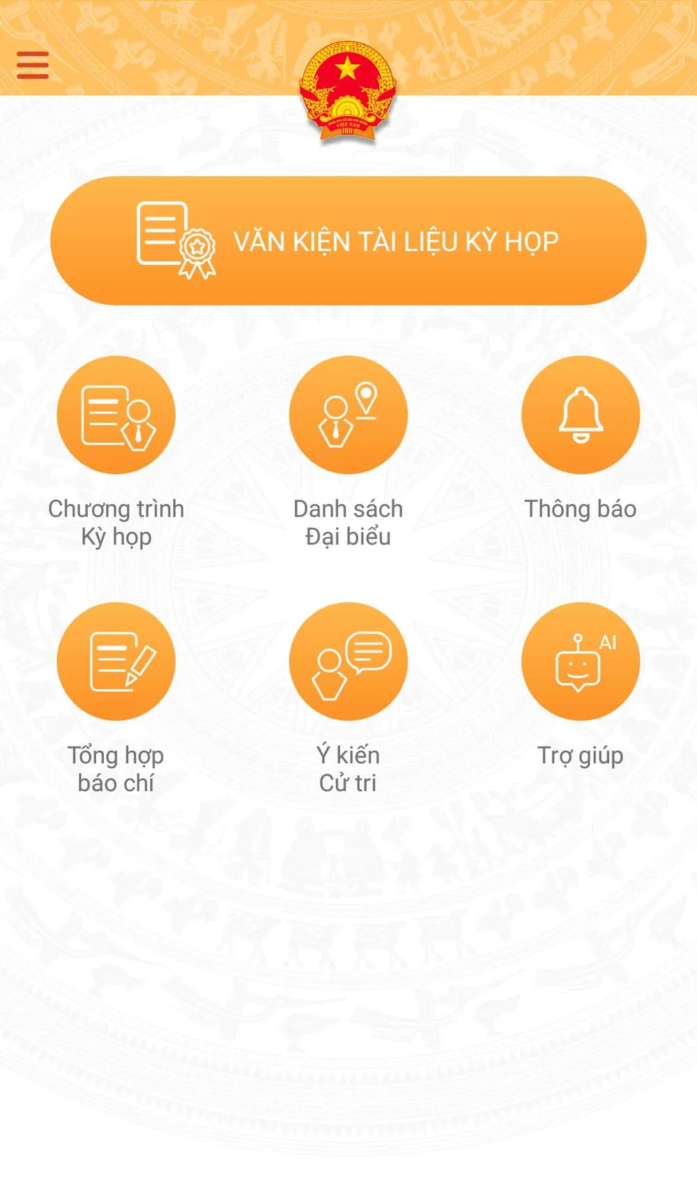 Kỳ họp HĐND TPHCM đầu tiên ứng dụng “không giấy” ảnh 2