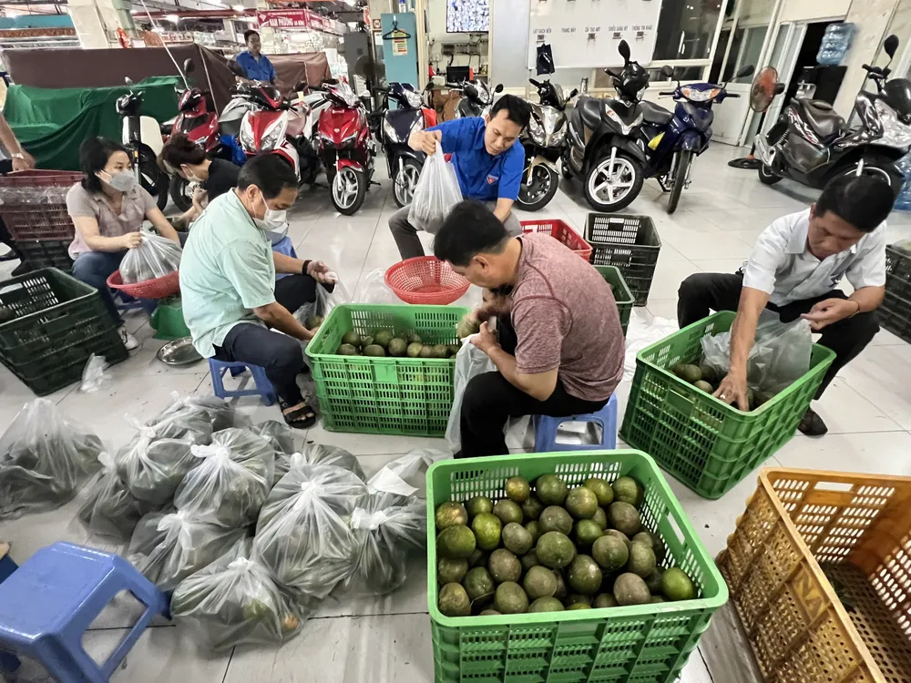 Chia cam vào các bọc 5kg