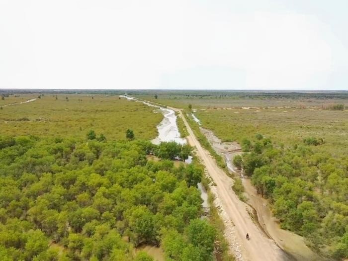 无人机拍摄新疆阿克苏地区艾西曼区域生态修复及荒漠化治理工程。