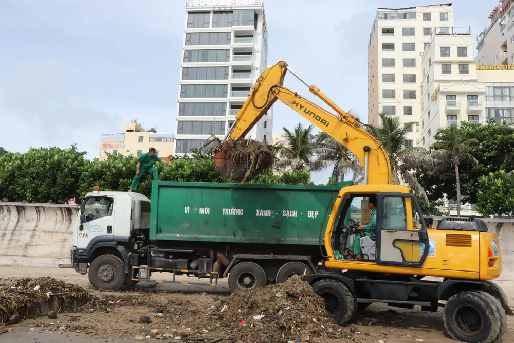 rac dai duong - bai sau 1.JPG