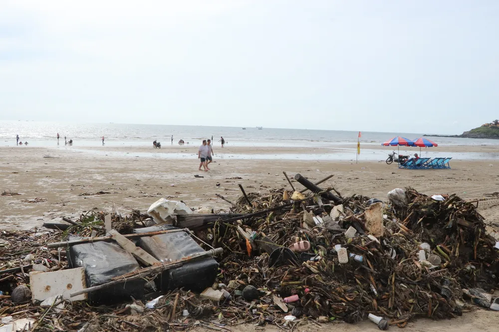 rac dai duong - bai sau 2.JPG