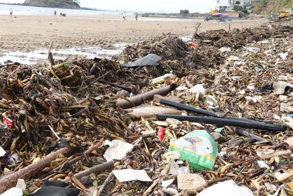 rac dai duong - bai sau 3.JPG