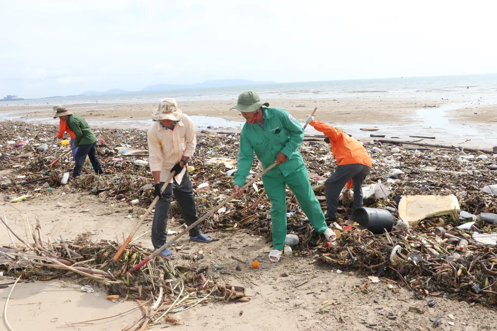 rac dai duong - bai sau 6.JPG