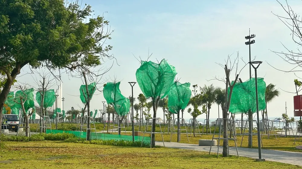 cay xanh - rao 1.jpg