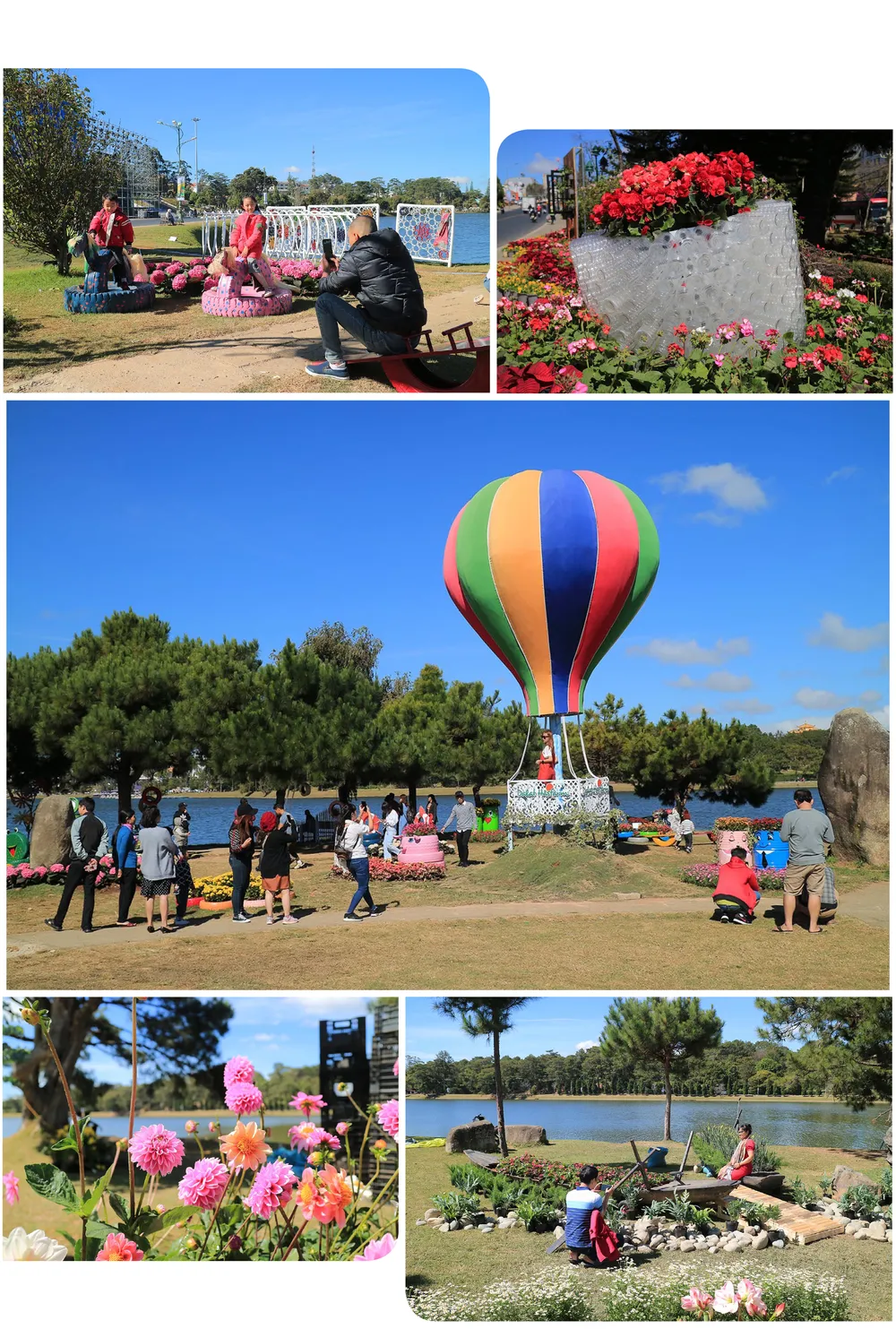 Đà Lạt rộn ràng chuẩn bị Festival hoa ảnh 8