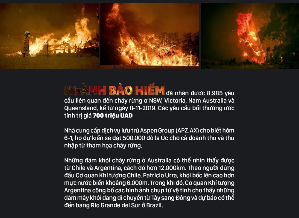 Australia “oằn lưng” chống chọi thảm họa cháy rừng ảnh 13