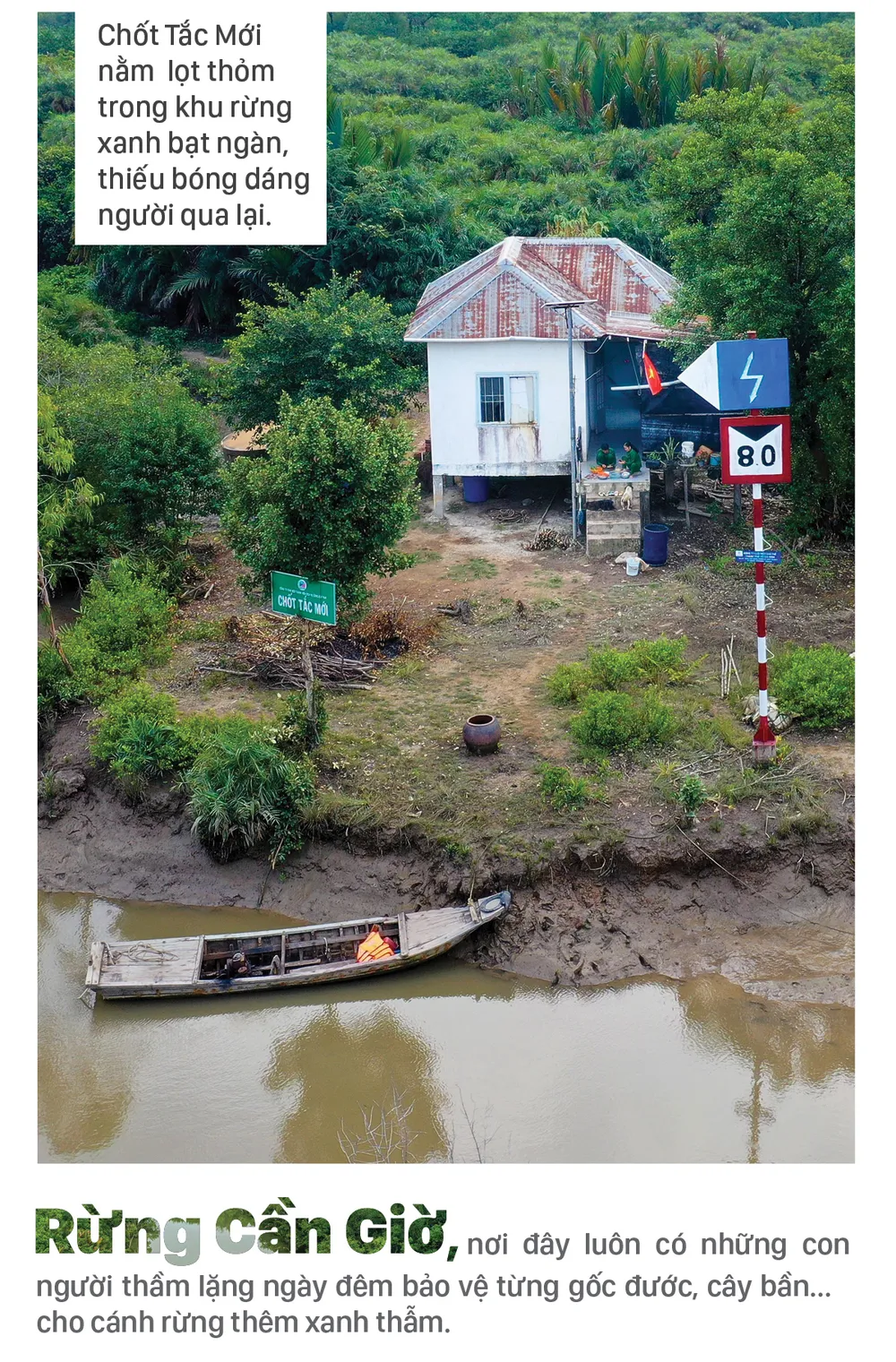 Xanh mãi rừng Cần Giờ ảnh 15